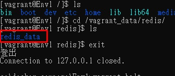 圖示中只有redis_data一隻檔案
